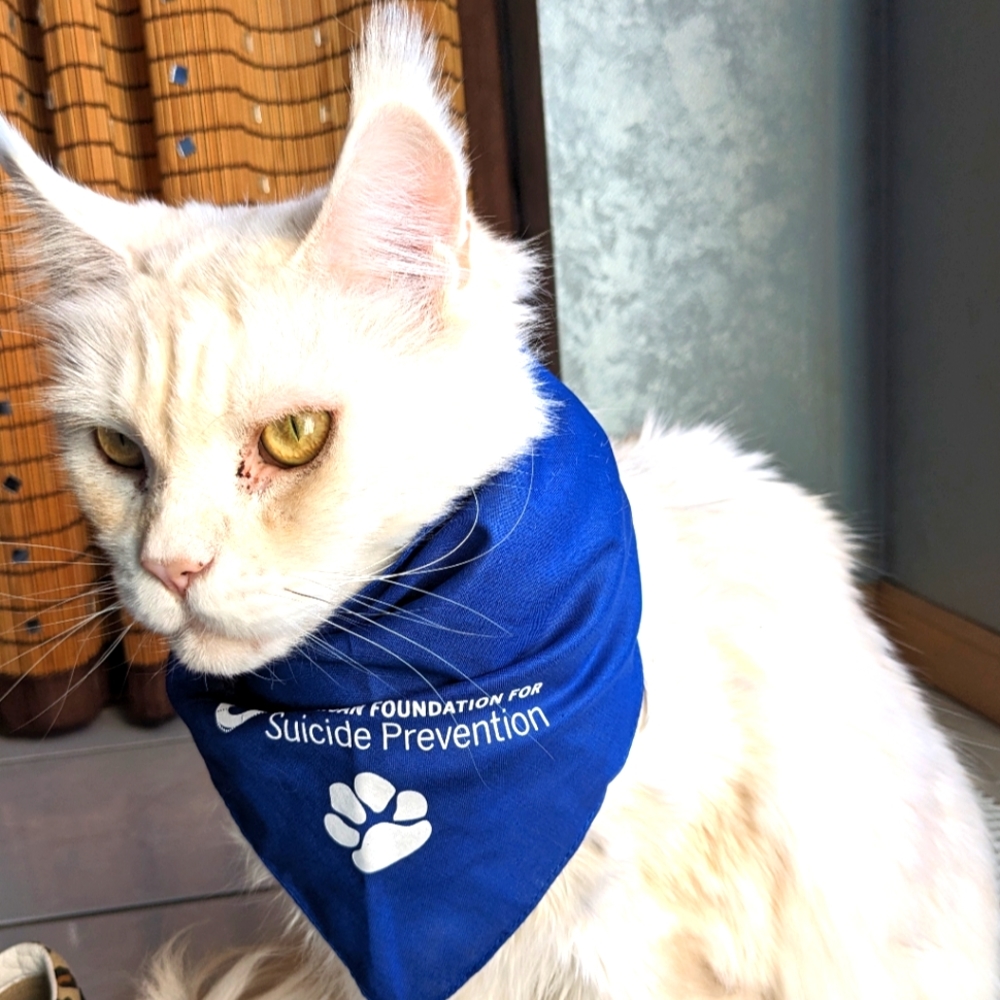 🌞American Foundation for Suicide Prevention NWOT pet bandana dog cat blue whit…
